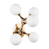 Бра Modestyle MS.6116.05 GD — купить в Bronko‑Decor