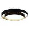 Потолочный светильник Evoluce Crosby SLE6009-402-01 — купить в Bronko‑Decor