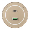 Трековая розетка Arte Milano Am-track-sockets-39 399732TS/USB-Type-C Gold — купить в Bronko‑Decor