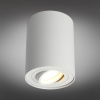 Потолочный светильник Omnilux Pantaleo OML-101009-01 — купить в Bronko‑Decor
