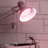 Фитолампа для растений светодиодная Эра E27 18W 6500K FITO-18W-Ra90-E27 Б0057710 — купить в Bronko‑Decor