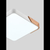 Потолочный светильник Natali Kovaltseva Scandinavian LED LAMPS 81410 — купить в Bronko‑Decor