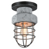 Потолочный светильник Lussole Loft LSP-9701 — купить в Bronko‑Decor