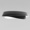 Потолочный светильник Loft IT Petale 10256 Black — купить в Bronko‑Decor