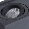 Потолочный светильник Arte Lamp Factor A5544PL-2BK — купить в Bronko‑Decor