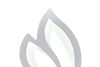 Бра Natali Kovaltseva LED LAMPS 81108/1W — купить в Bronko‑Decor