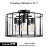 Потолочная люстра Lightstar Genni 798257 — купить в Bronko‑Decor