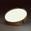 Потолочный светильник Sonex Coraggio 7721/120L — купить в Bronko‑Decor