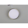 Потолочный светильник Aployt Evon APL.0114.29.12 — купить в Bronko‑Decor