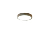 Потолочный светильник Zortes Alberro ZRS.01289.36 — купить в Bronko‑Decor