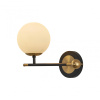 Бра Arte Milano Neapolis 272808/1B BK/GD — купить в Bronko‑Decor