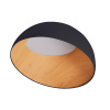 Потолочный светильник Zortes Baum ZRS.01243.05 — купить в Bronko‑Decor