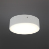 Потолочный светильник Aployt Evon APL.0113.09.12 — купить в Bronko‑Decor