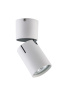 Спот Vele Luce Carrisi VL8061S21 — купить в Bronko‑Decor