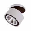 Встраиваемый спот Lightstar Forte Inca 214849 — купить в Bronko‑Decor