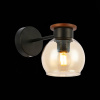 Настенный светильник EVOLUCE RASCO SLE108101-01 — купить в Bronko‑Decor