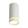 Потолочный светильник Omnilux Olona OML-100809-01 — купить в Bronko‑Decor