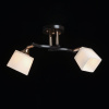 Потолочный светильник De Markt Тетро 673018202 — купить в Bronko‑Decor