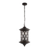 Уличный подвесной светильник Loft IT Bergamo 100018P — купить в Bronko‑Decor