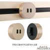 Трековая розетка Arte Milano Am-track-sockets 380011TS/USBx2 Gold — купить в Bronko‑Decor