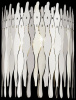Настенный светильник Wertmark Celina WE128.03.101 — купить в Bronko‑Decor