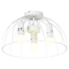 Потолочная люстра Lussole LGO LATTICE GRLSP-8218 — купить в Bronko‑Decor