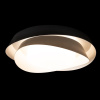Потолочный светильник Loft IT Petale 10256 Black — купить в Bronko‑Decor