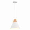 Подвесной светильник Evoluce Modica SLE125103-01 — купить в Bronko‑Decor