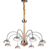 Подвесная люстра Lucia Tucci Natura 065.8 LED — купить в Bronko‑Decor