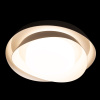 Потолочный светильник Loft IT Petale 10256 Black — купить в Bronko‑Decor