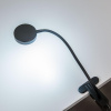 Настольная лампа Citilux Ньютон CL803071N — купить в Bronko‑Decor