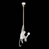 Подвесной светильник Evoluce Tenato SLE115103-01 — купить в Bronko‑Decor