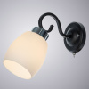 Бра Arte Lamp Krit A4505AP-1BK — купить в Bronko‑Decor