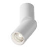 Накладной спот Maytoni Dafne C027CL-L10W4K — купить в Bronko‑Decor