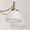 Потолочная люстра MW-Light Олимп 318015605 — купить в Bronko‑Decor