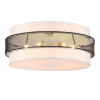 Потолочный светильник Lumion Animaisa 8002/6C — купить в Bronko‑Decor