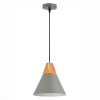 Подвесной светильник Evoluce Modica SLE125113-01 — купить в Bronko‑Decor
