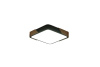 Потолочный светильник Zortes Alberro ZRS.01281.60 — купить в Bronko‑Decor