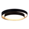 Потолочный светильник Evoluce Crosby SLE6009-402-01 — купить в Bronko‑Decor