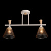 Потолочный светильник De Markt Дэла 635014202 — купить в Bronko‑Decor