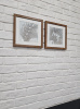 Постер Tomas Stern 83013 — купить в Bronko‑Decor