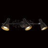 Спот Citilux Дункан CL529531 — купить в Bronko‑Decor