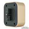 Трековая розетка Arte Milano Am-track-sockets 380022TS/USBx2 Gold — купить в Bronko‑Decor