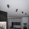 Накладной спот Elektrostandard Niro 4690389203268 25013/01 a065463 — купить в Bronko‑Decor