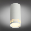 Потолочный светильник Omnilux Olona OML-100809-01 — купить в Bronko‑Decor