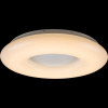 Потолочный светодиодный светильник Globo Quentin 42506-80 — купить в Bronko‑Decor