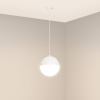 Подвесной светильник Arlight SP-EMISFERO-HANG-BUILT-R150-11W Day4000 (WH, 170 deg, 230V) 056586 — купить в Bronko‑Decor