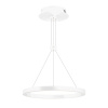 Подвесной Подвесной светильник Arlight SP-CONGO-CAN-1-R400-24W Day4000 (WH, 120 deg, 230V) 046213 — купить в Bronko‑Decor