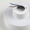 Встраиваемый светильник Lightstar Acuto 215936 — купить в Bronko‑Decor