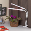 Светильник для растений на прищепке ЭРА FITO-20W-АLED-L Б0049550 — купить в Bronko‑Decor